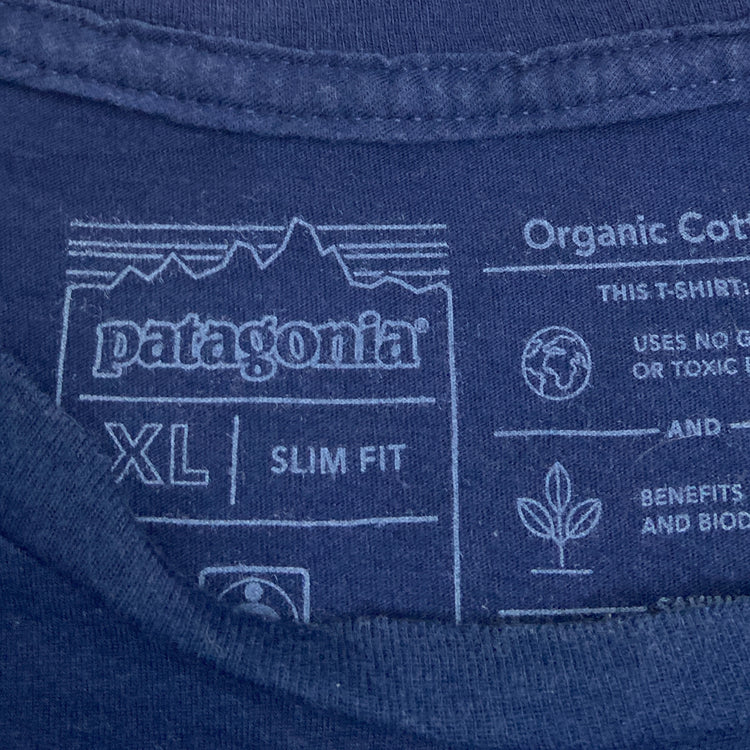 Patagonia