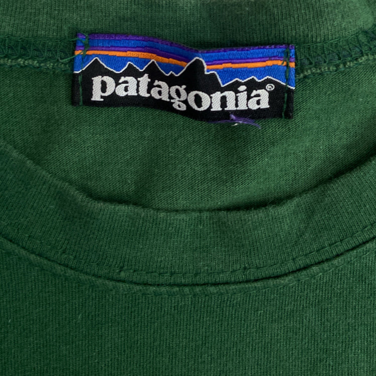 Patagonia