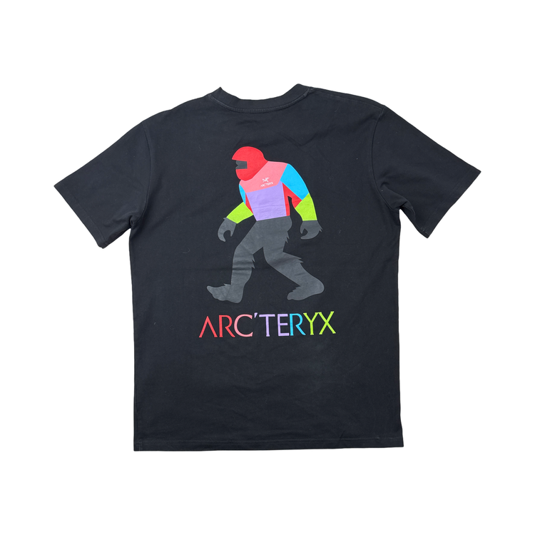 Arcteryx