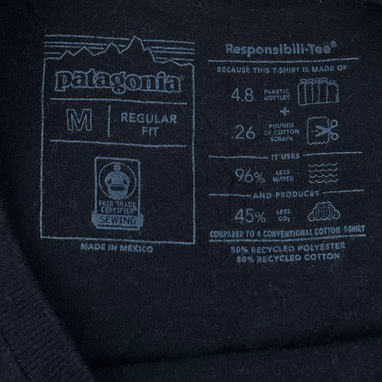 Patagonia