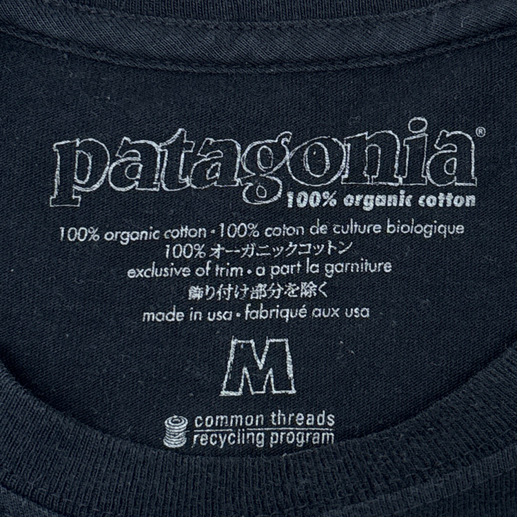 Patagonia