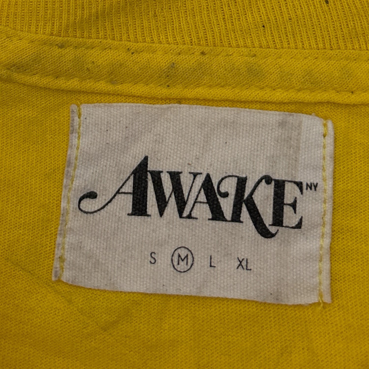 Awake