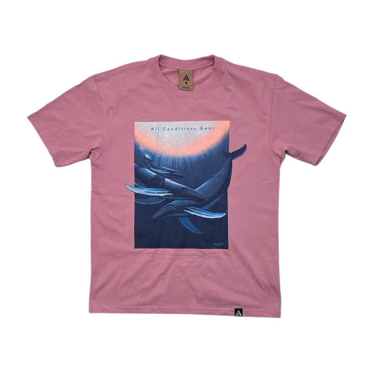 ACG