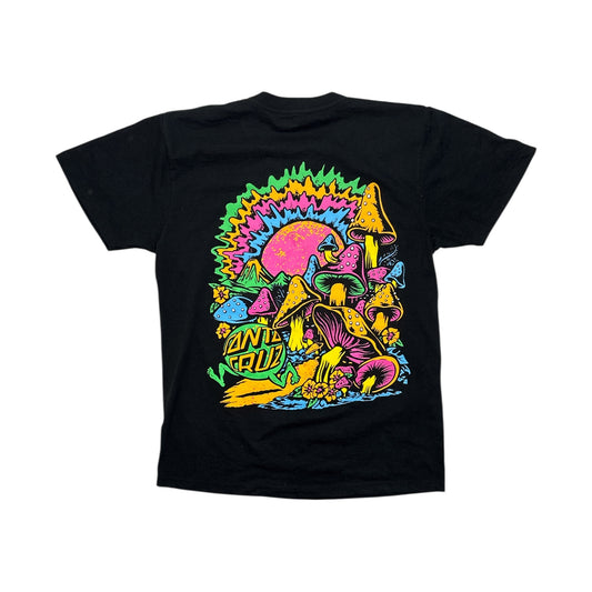Santa Cruz