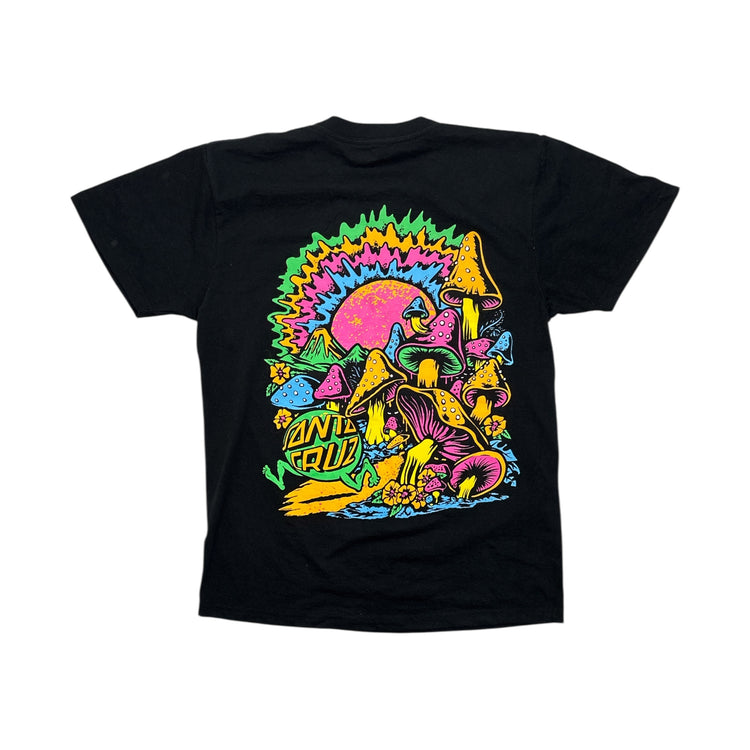 Santa Cruz